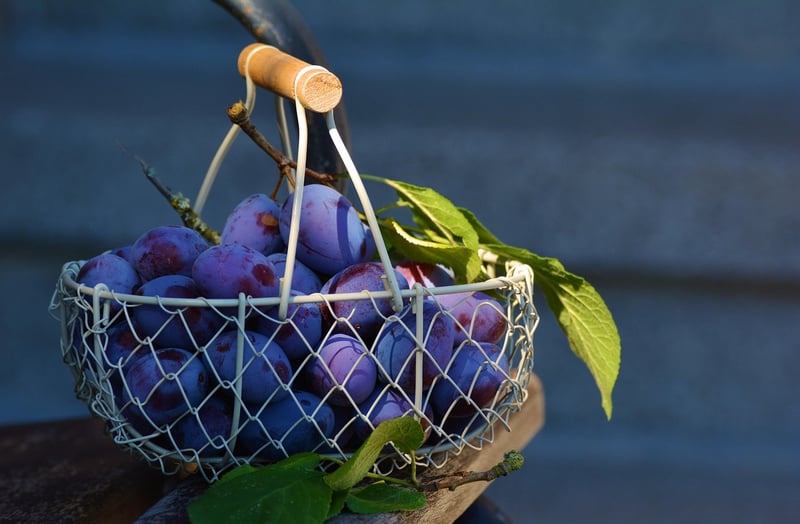 Geometric Hanging Basket